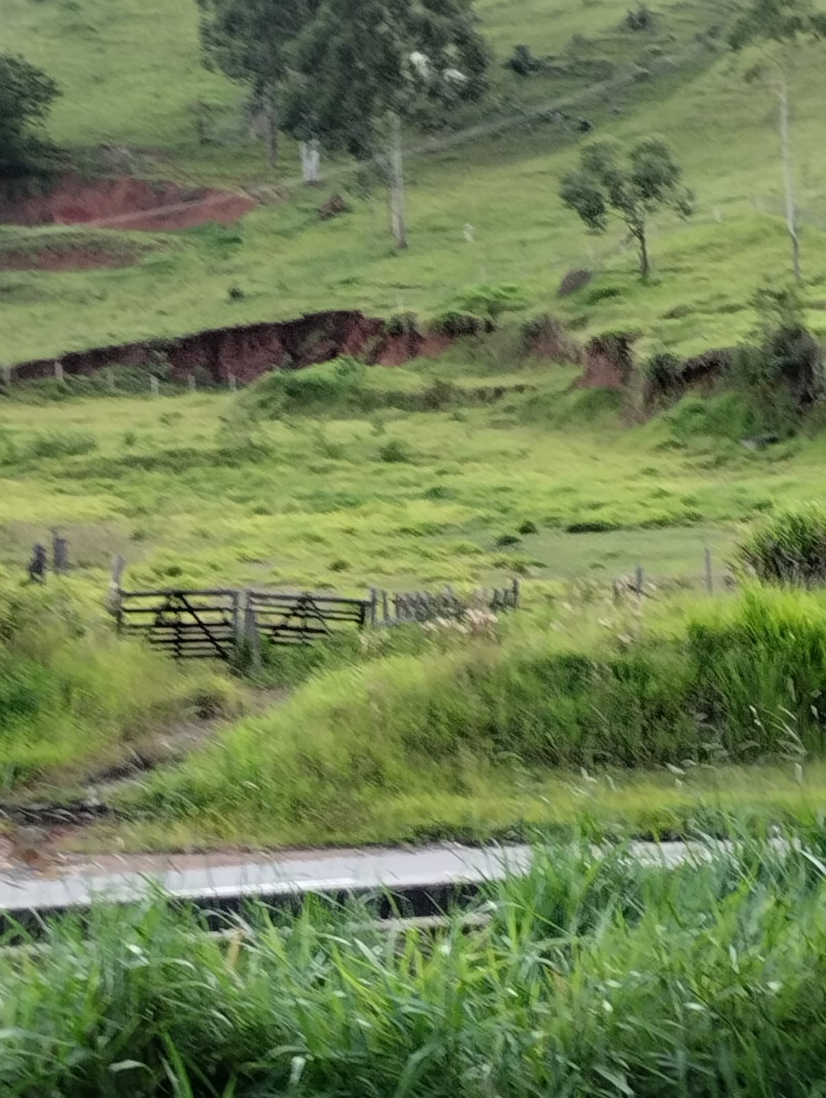 Área industrial com 11 mil metros frente para a Fernão Dias em Cambui - MG cod. 1169