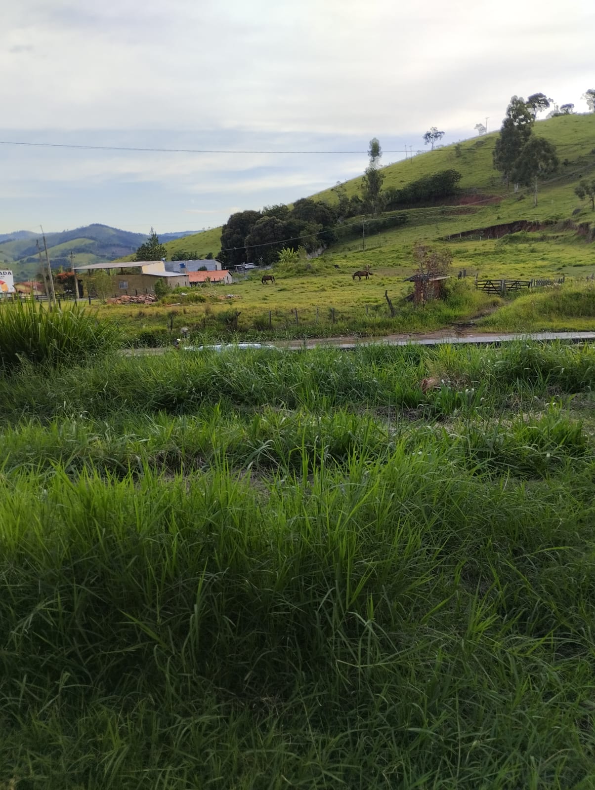 Área industrial com 11 mil metros frente para a Fernão Dias em Cambui - MG cod. 1169