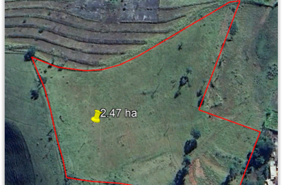 Área industrial com 24 mil metros. Ótima localização em Cambuí - MG cod. 1170