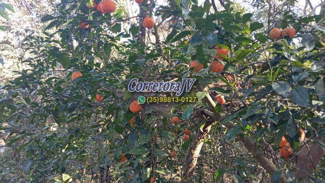 Terreno para formação em chácara ou plantações em Extrema - MG código 1175