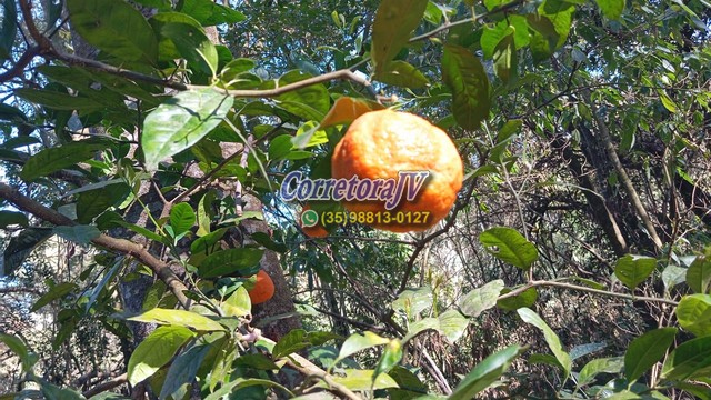 Terreno para formação em chácara ou plantações em Extrema - MG código 1175