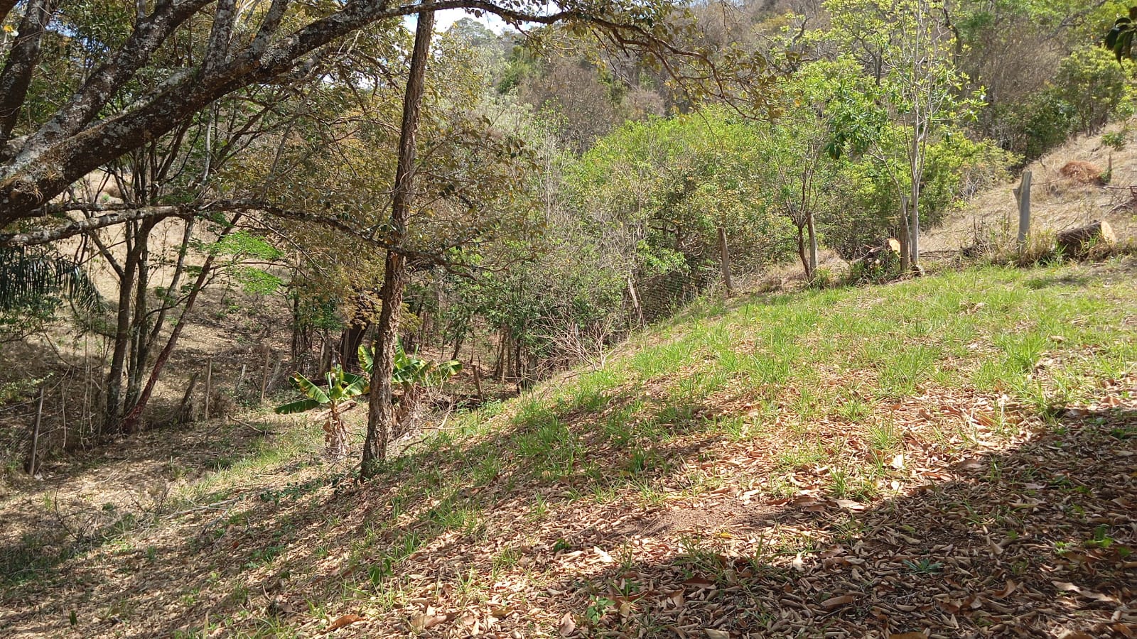 Terreno Ideal para Formação de Chácara – 3 km do centro de Extrema/MG cod. 1182