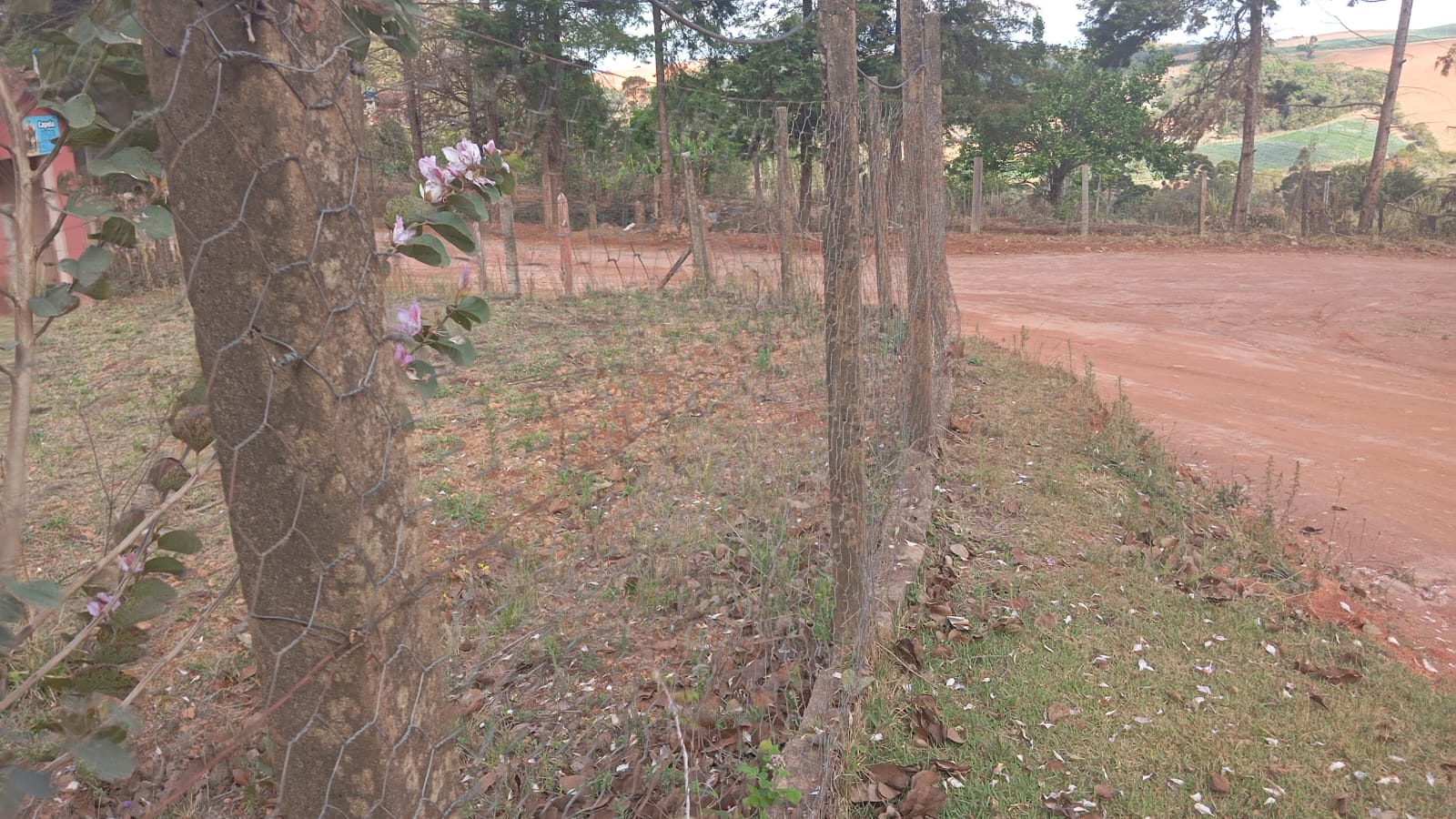 Terreno 2.750m² – Espaço Perfeito para sua Chácara em Munhoz- MG1187