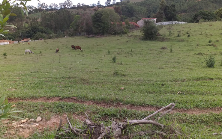 Terreno para indústria no distrito industrial em Camanducaia MG | código 750