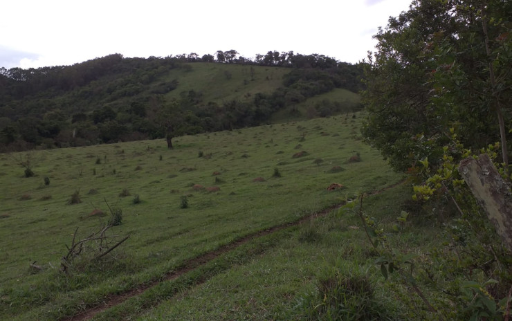 Terreno para indústria no distrito industrial em Camanducaia MG | código 750