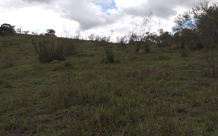 Terreno para indústria no distrito industrial em Camanducaia MG | código 750