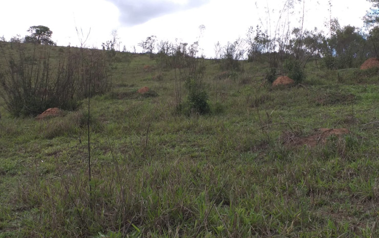 Terreno para indústria no distrito industrial em Camanducaia MG | código 750