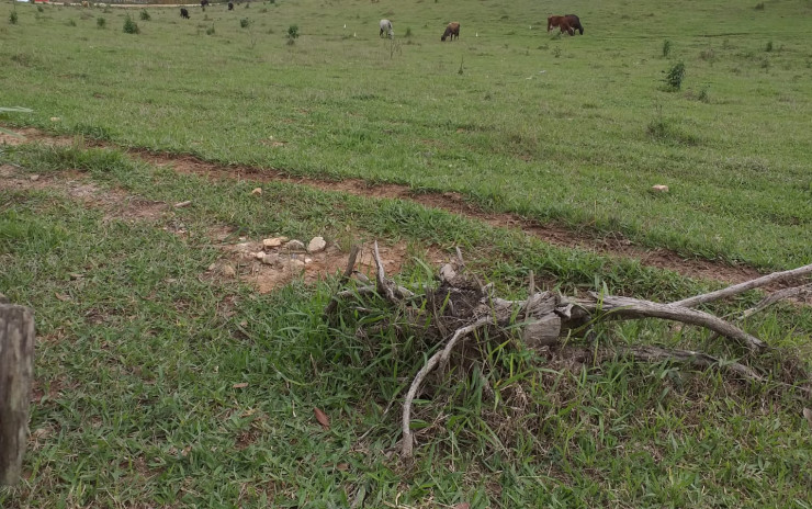 Terreno para indústria no distrito industrial em Camanducaia MG | código 750