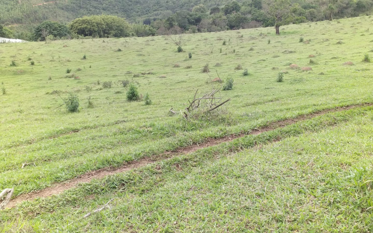 Terreno para indústria no distrito industrial em Camanducaia MG | código 750