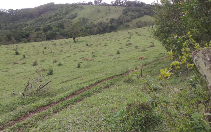 Terreno para indústria no distrito industrial em Camanducaia MG | código 750