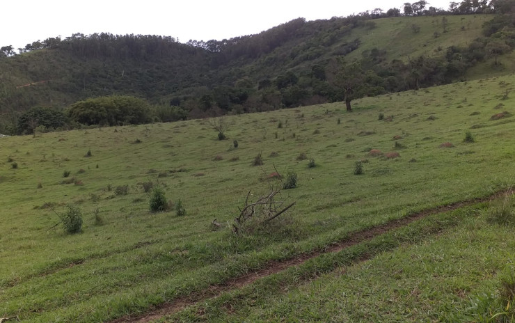 Terreno para indústria no distrito industrial em Camanducaia MG | código 750