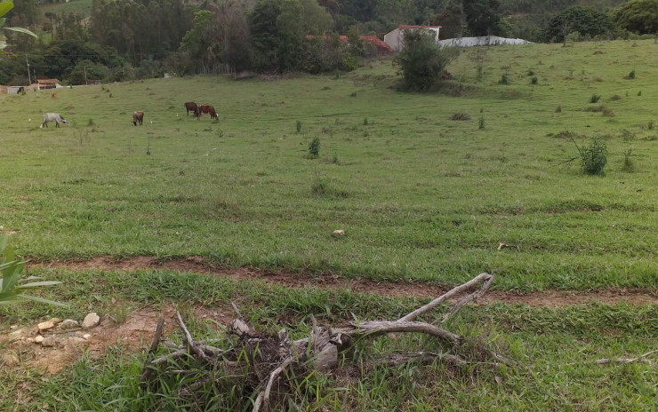 Terreno para indústria no distrito industrial em Camanducaia MG | código 750