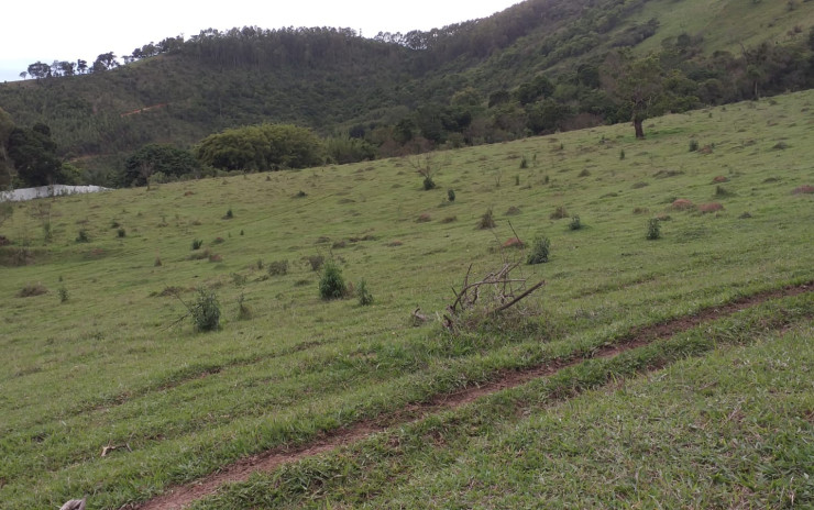 Terreno para indústria no distrito industrial em Camanducaia MG | código 750