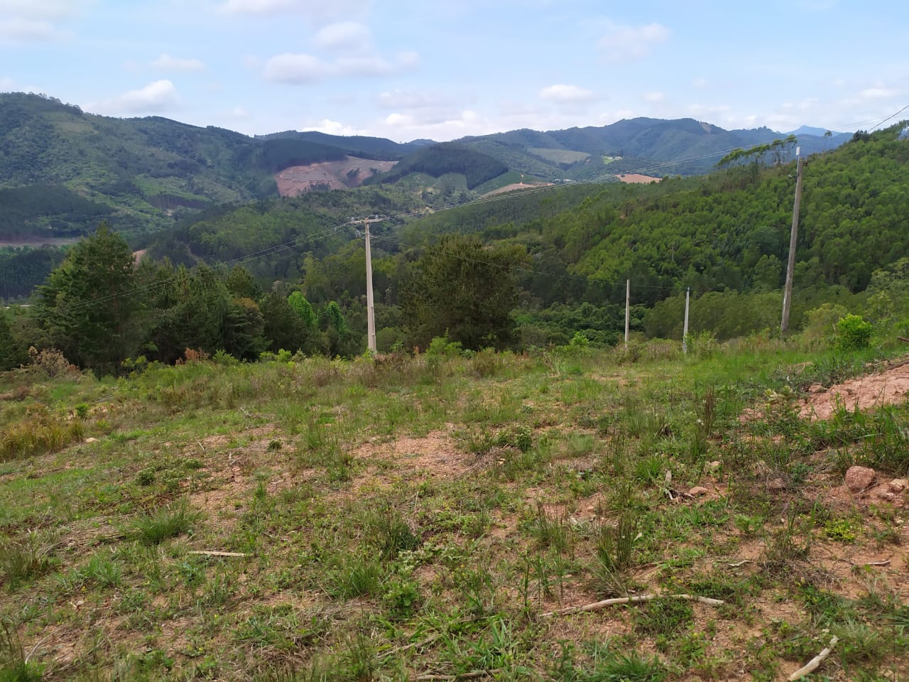 Chácara - casa de laje boa bem acabada. Poço, córrego | Itapeva - MG | código 786