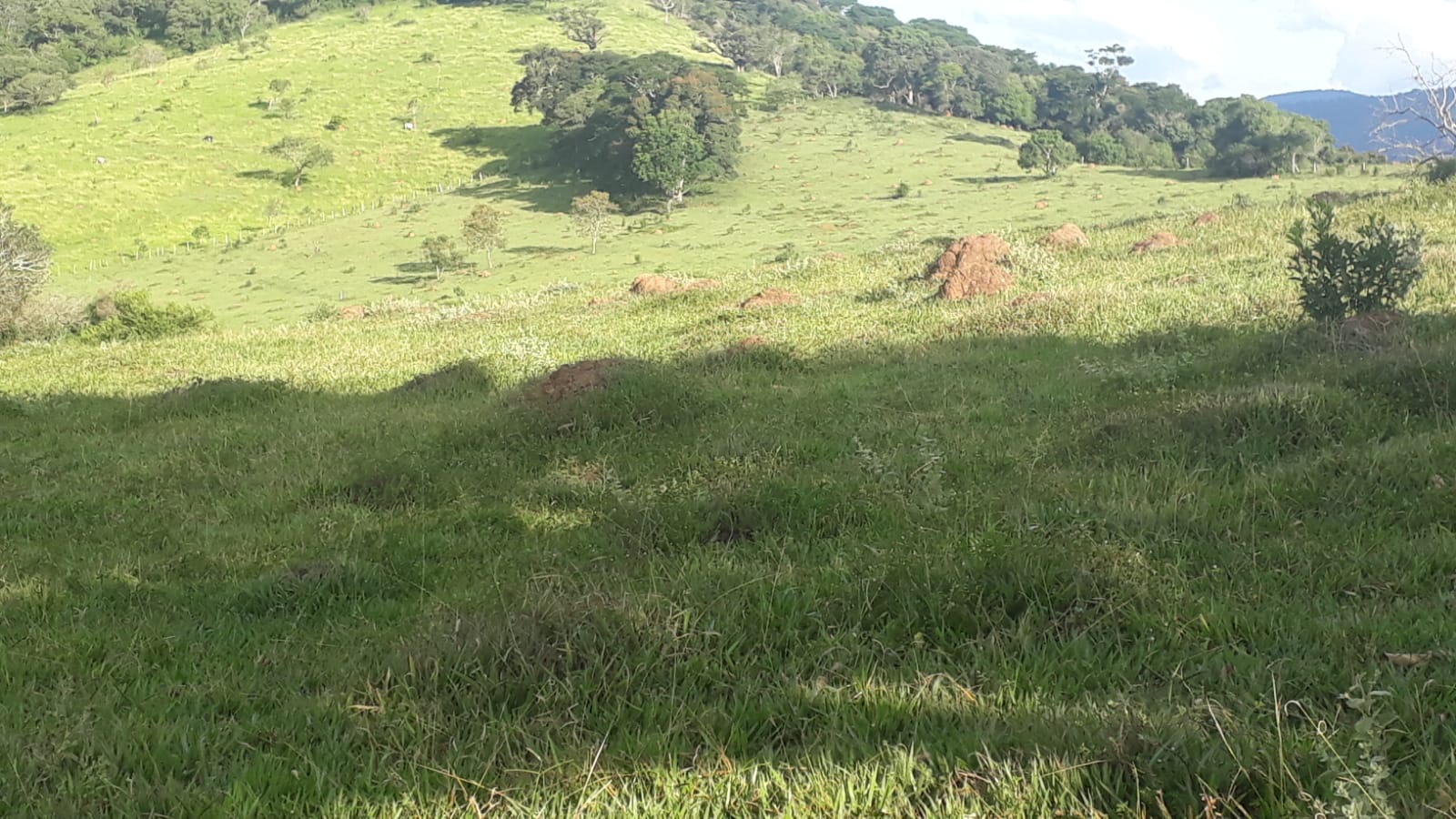 Área industrial muito bem localizada em Extrema - MG | código 830