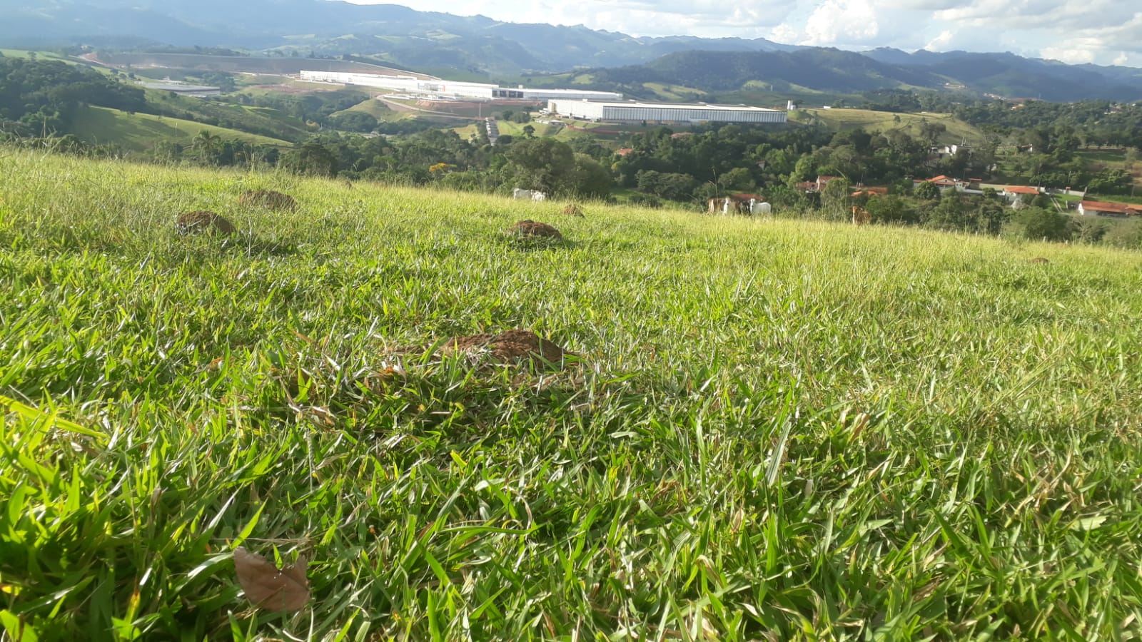 Área industrial bem localizada  | Extrema -MG. | código 831