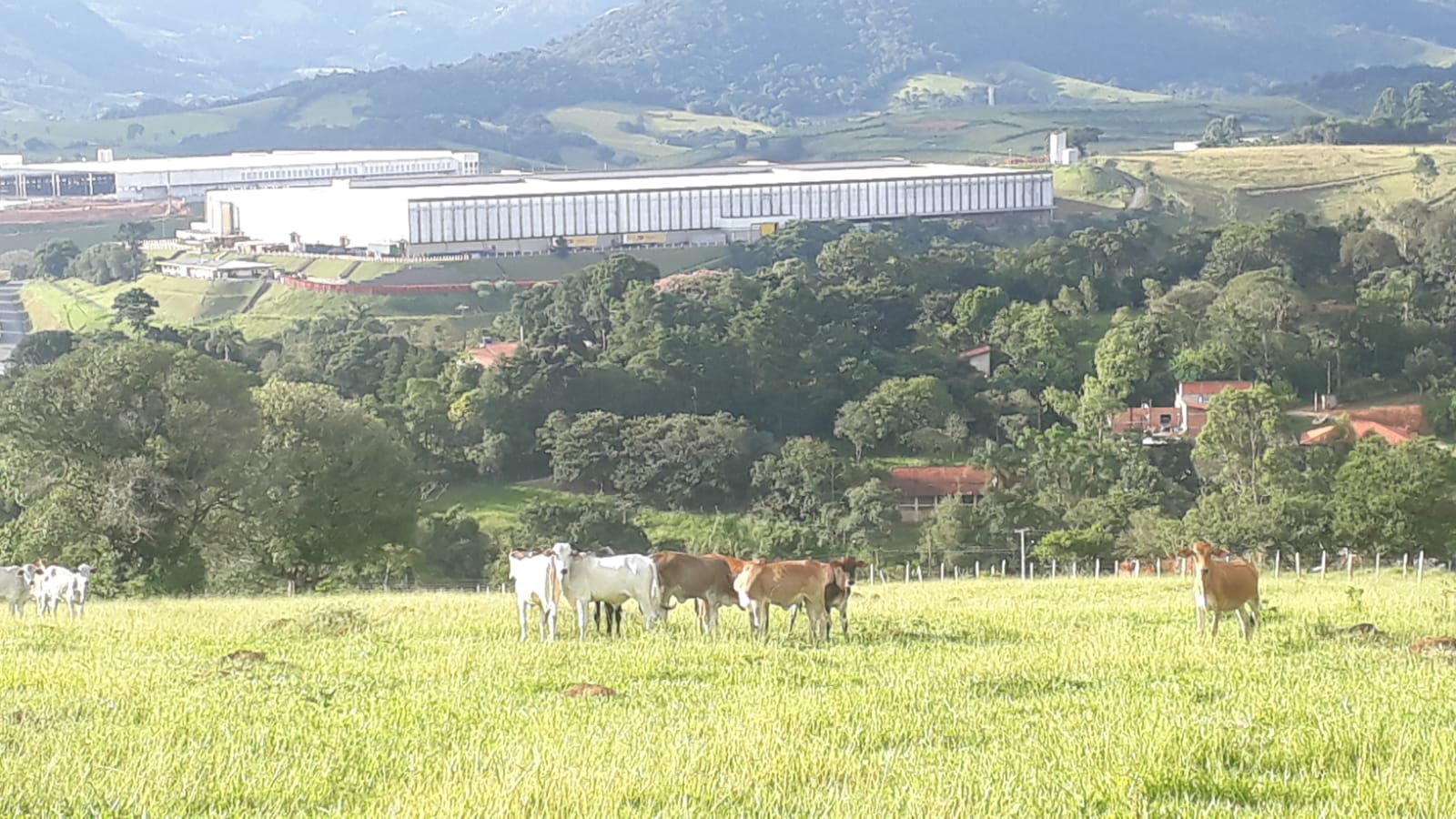 Área industrial bem localizada  | Extrema -MG. | código 831