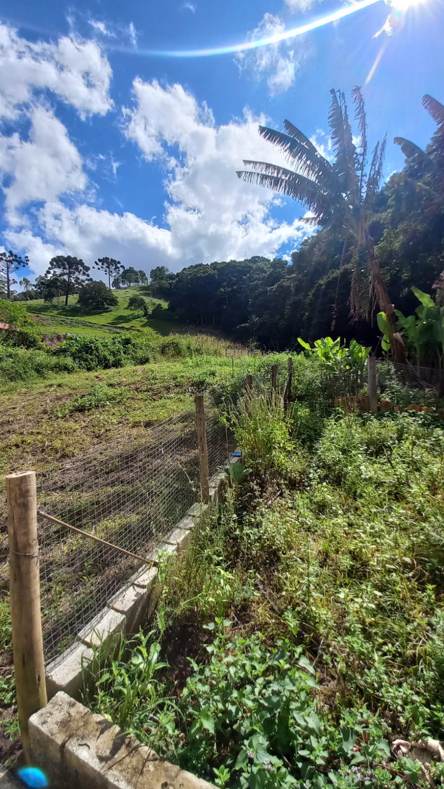 Chácara toda murada com casa, piscina, churrasqueira | Extrema - MG