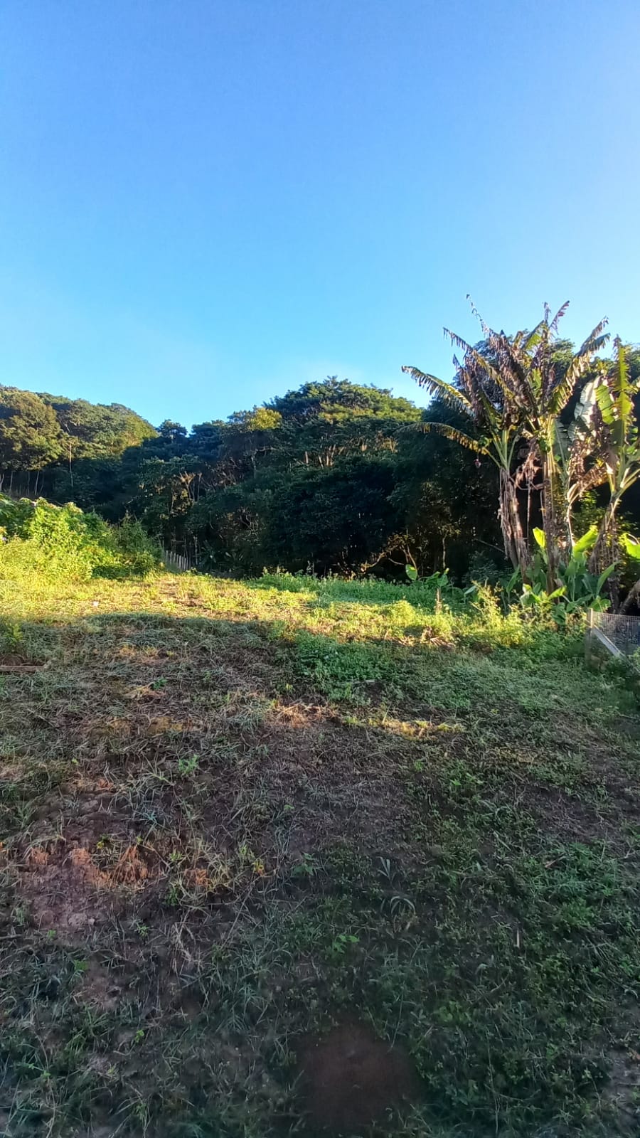 Chácara toda murada com casa, piscina, churrasqueira | Extrema - MG