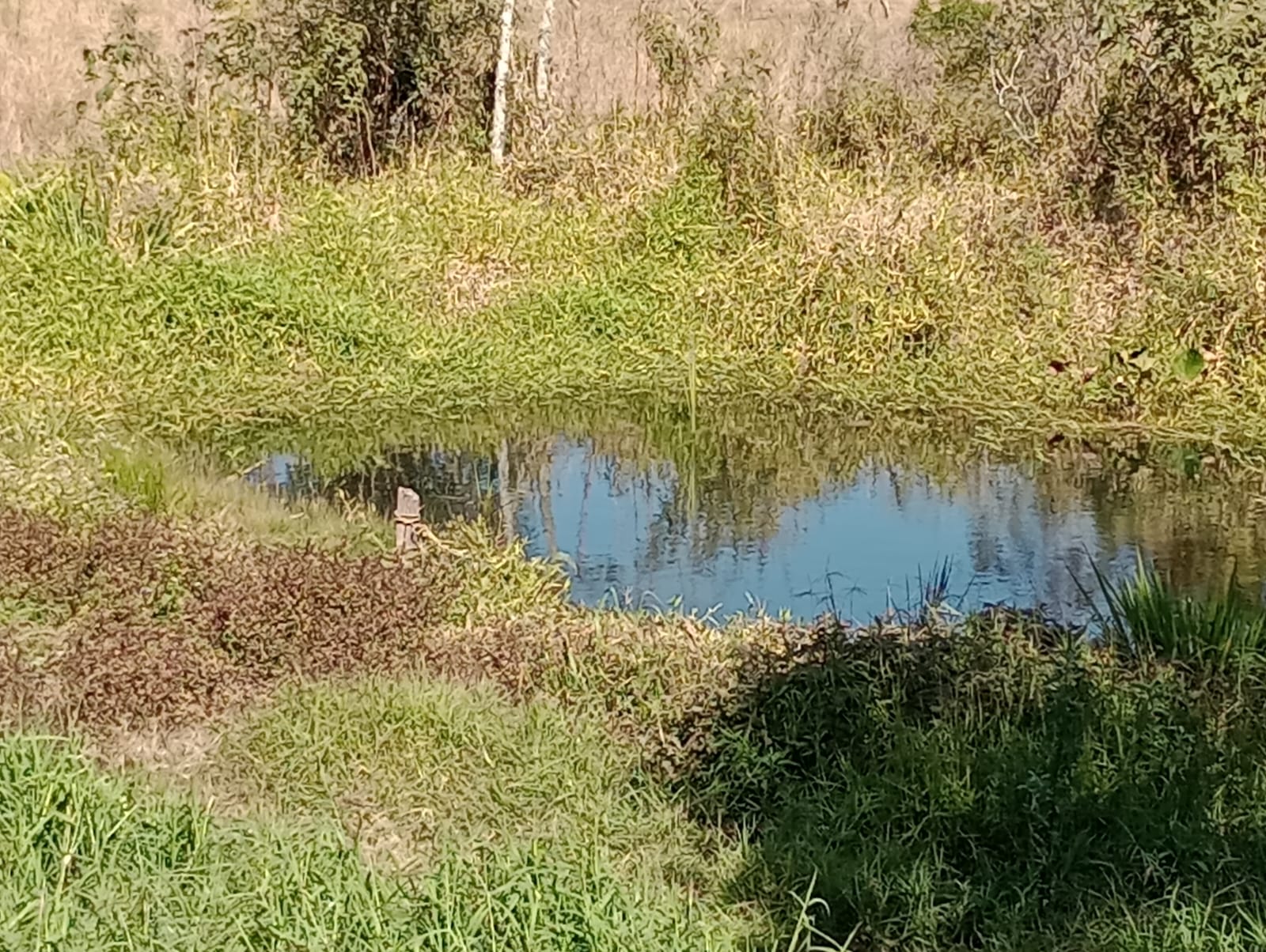 sitio com lago, tanques para peixes, casa, bom acesso | Congonhal - MG