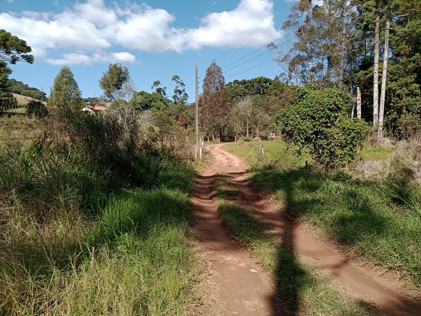 sitio com lago, tanques para peixes, casa, bom acesso | Congonhal - MG