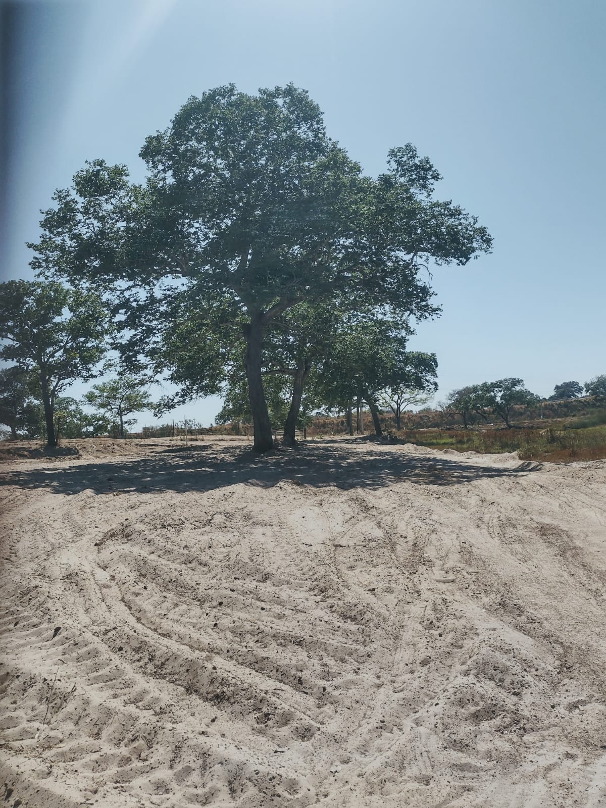 Fazenda no Mato Grosso Ideal para empreendimento Turismo Rural | Nova Nazaré - MT  | código 1018