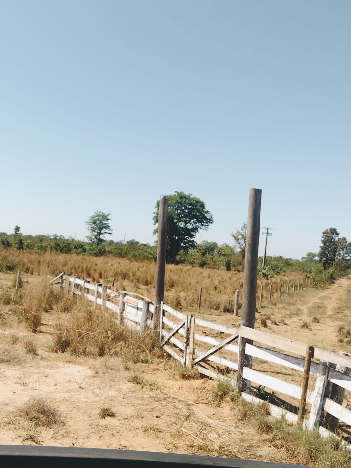 Fazenda no Mato Grosso Ideal para empreendimento Turismo Rural | Nova Nazaré - MT  | código 1018