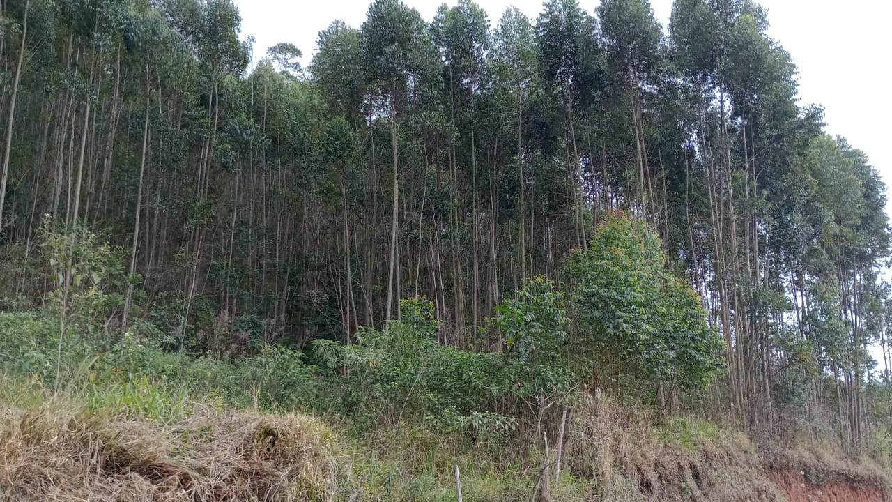 Terreno com potencial para chácara, cerca de 12 km da cidade de Extrema  | código 1026