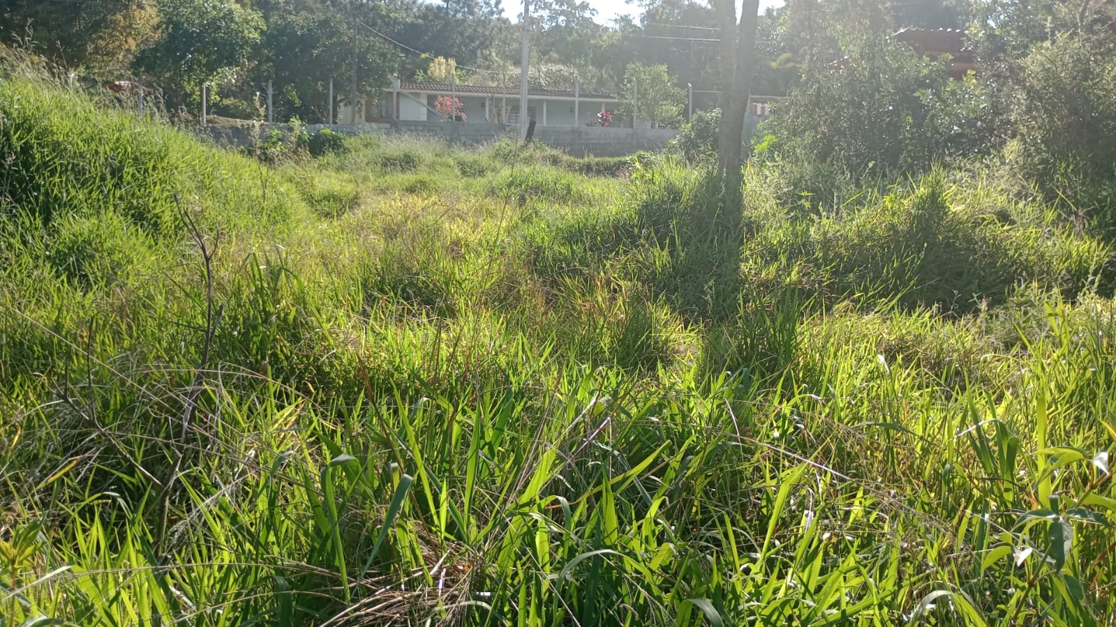 Terreno com potencial para chácara, 3,5 km  cidade de Extrema  | código 1028