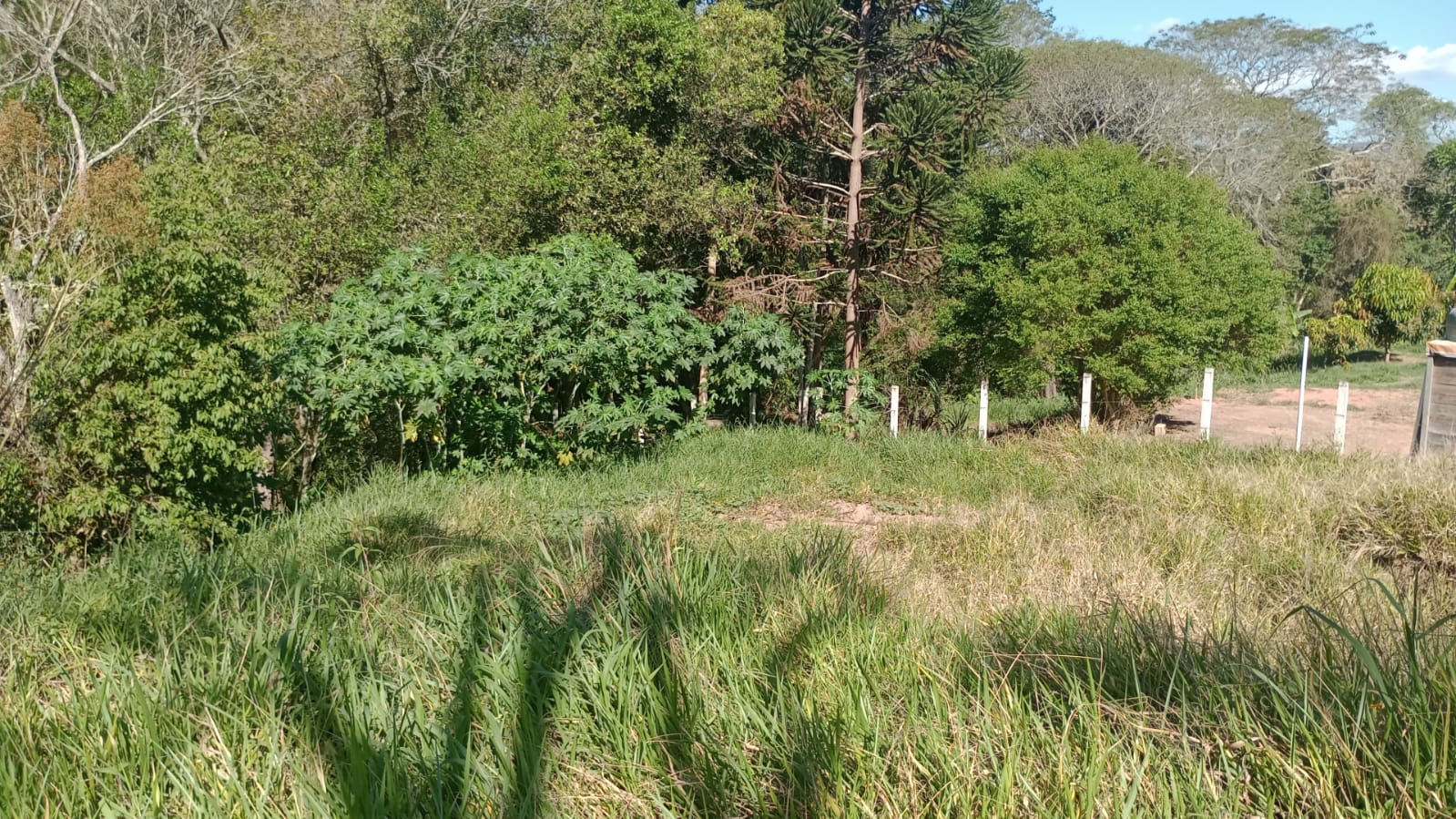 Terreno com potencial para chácara, 3,5 km  cidade de Extrema  | código 1028