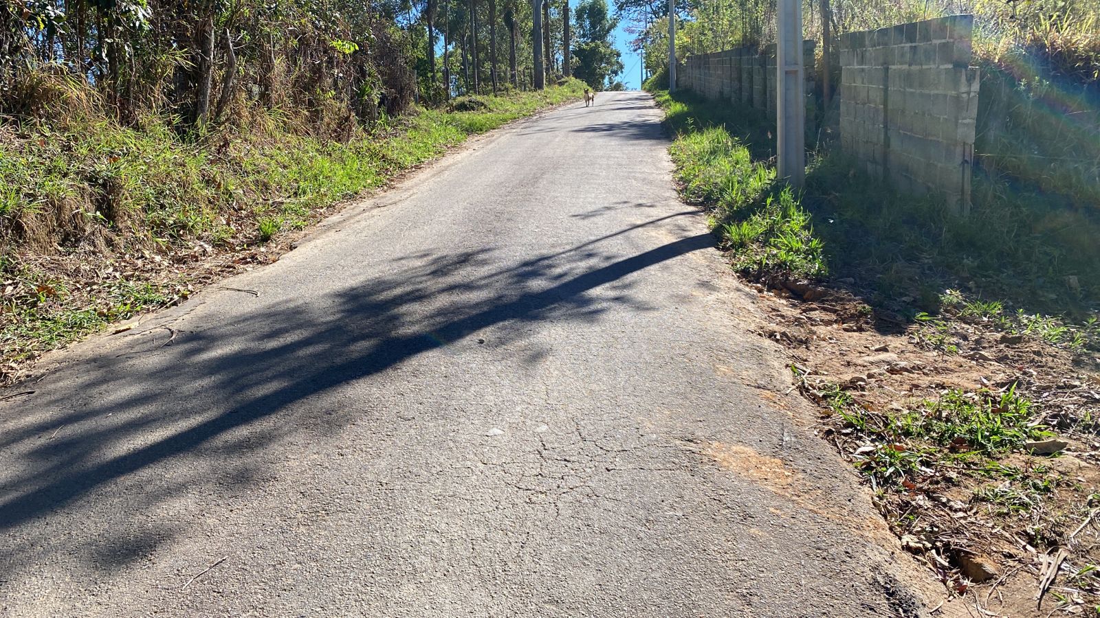 Terreno para formação de chácara é uma verdadeira jóia escondida | Extrema - MG  | código 1031