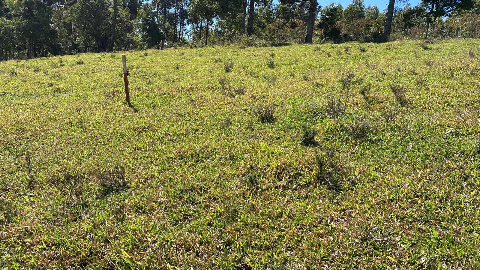 Terreno na divisa com Toledo com Extrema, e pertence a Toledo  | código 1034