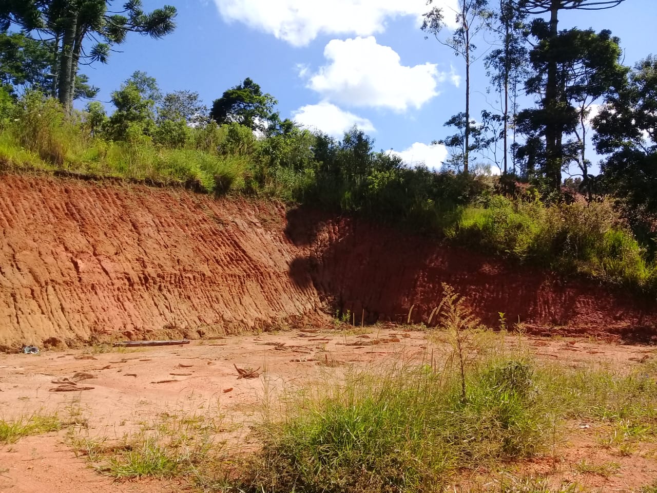 Terreno com vista panorâmica. Chegou a hora de realizar o sonho da casa no campo | Toledo - MG  | código 1039