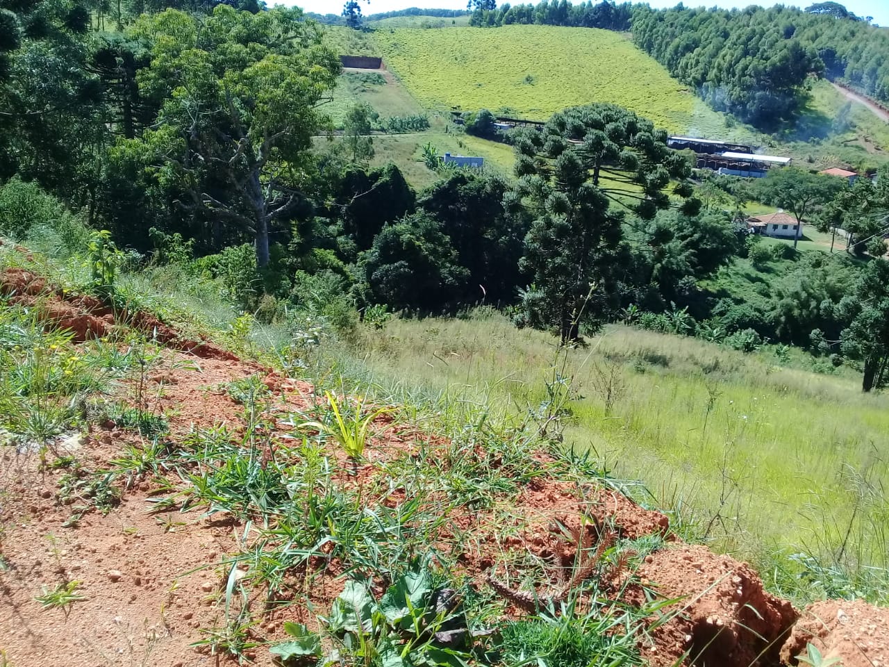 Terreno com vista panorâmica. Chegou a hora de realizar o sonho da casa no campo | Toledo - MG  | código 1039