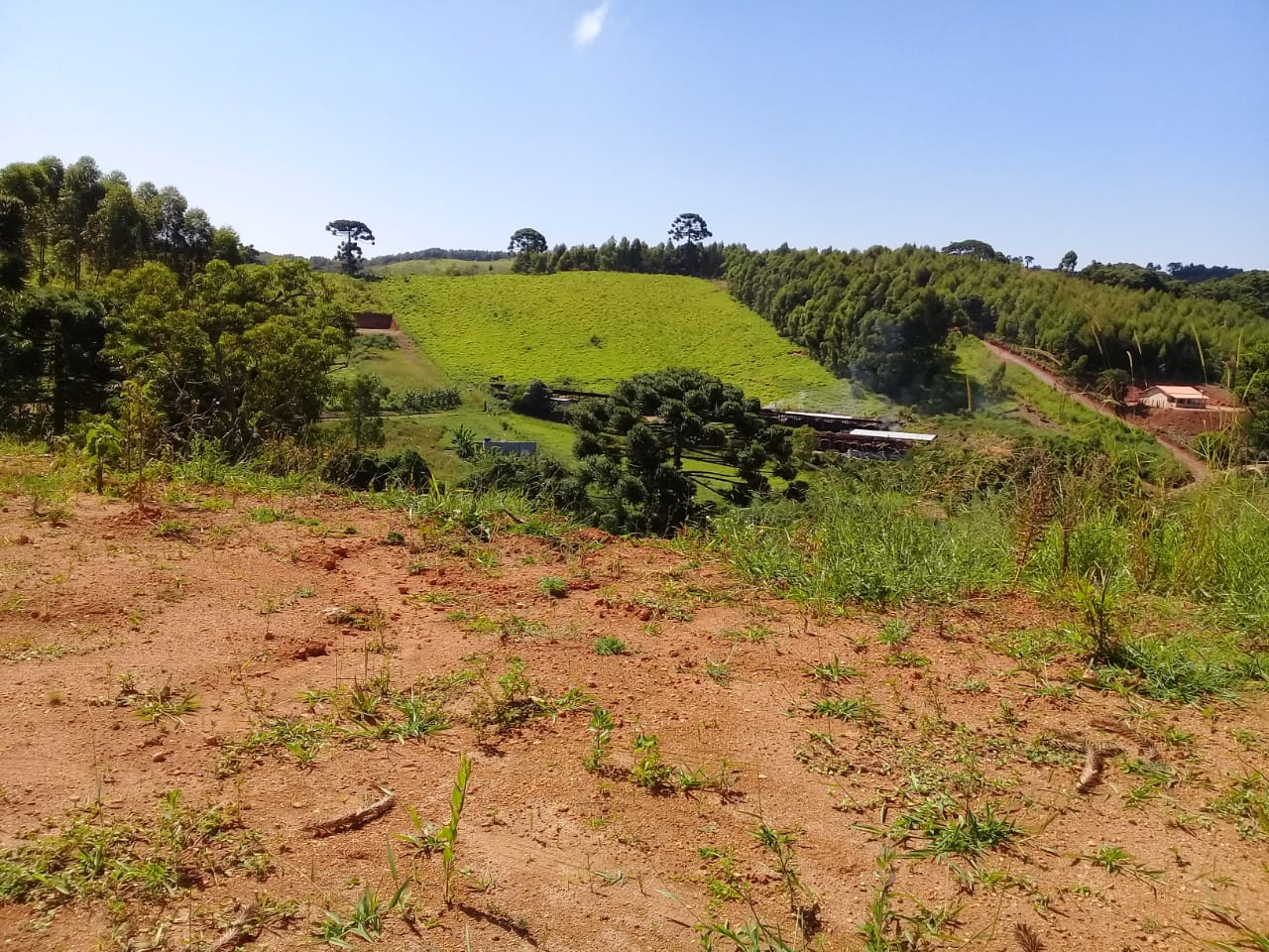 Terreno com vista panorâmica. Chegou a hora de realizar o sonho da casa no campo | Toledo - MG  | código 1039