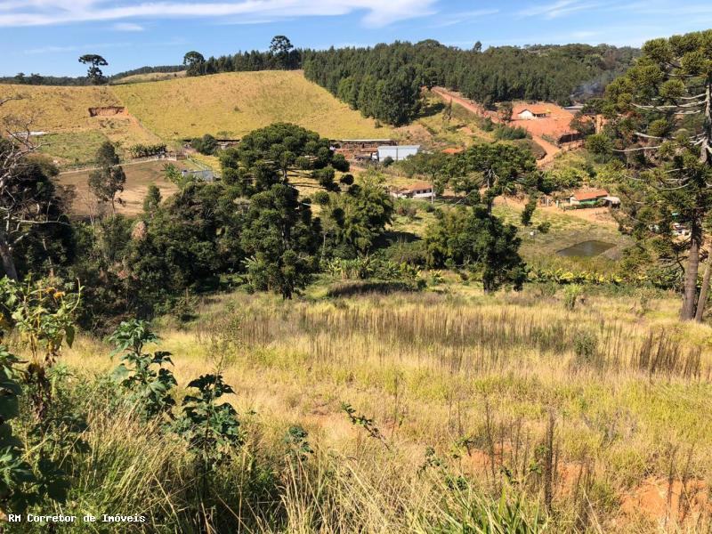 Terreno com vista panorâmica. Chegou a hora de realizar o sonho da casa no campo | Toledo - MG  | código 1039