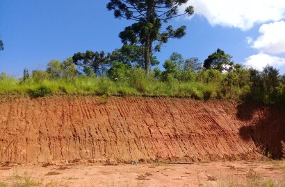 Terreno com vista panorâmica. Chegou a hora de realizar o sonho da casa no campo | Toledo - MG  | código 1039