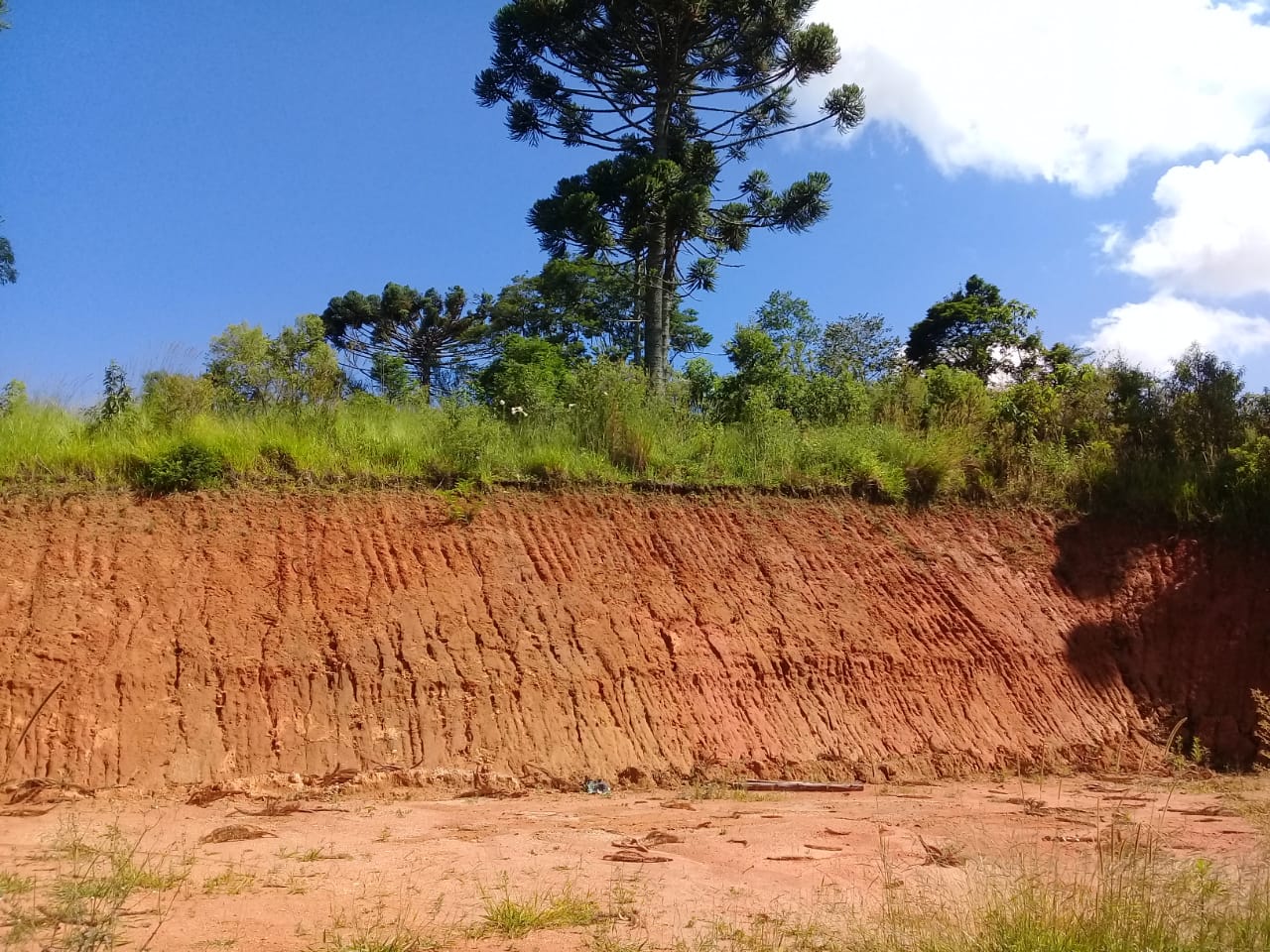 Terreno com vista panorâmica. Chegou a hora de realizar o sonho da casa no campo | Toledo - MG  | código 1039