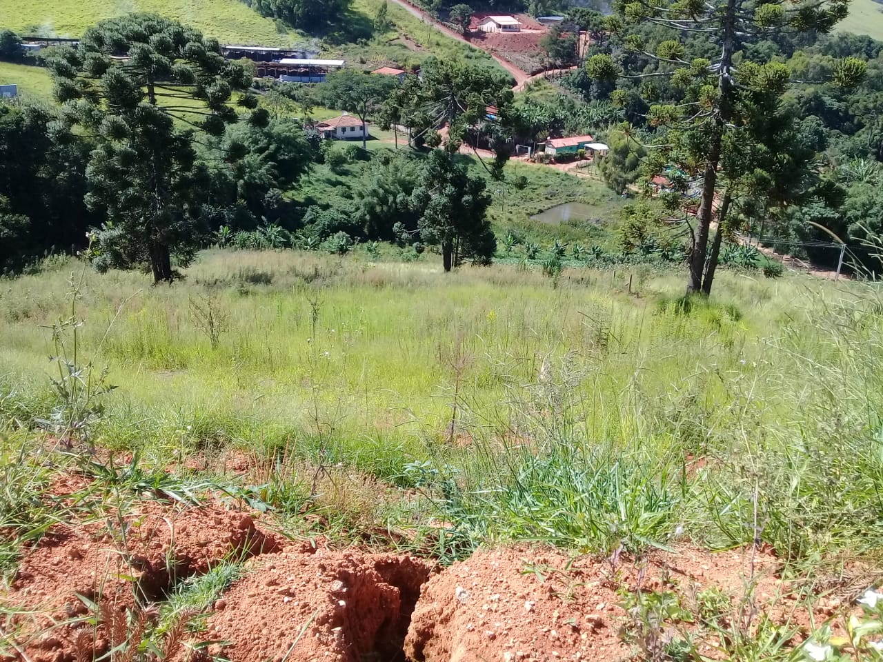 Terreno com vista panorâmica. Chegou a hora de realizar o sonho da casa no campo | Toledo - MG  | código 1039