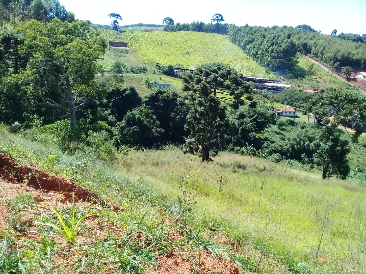 Terreno com vista panorâmica. Chegou a hora de realizar o sonho da casa no campo | Toledo - MG  | código 1039