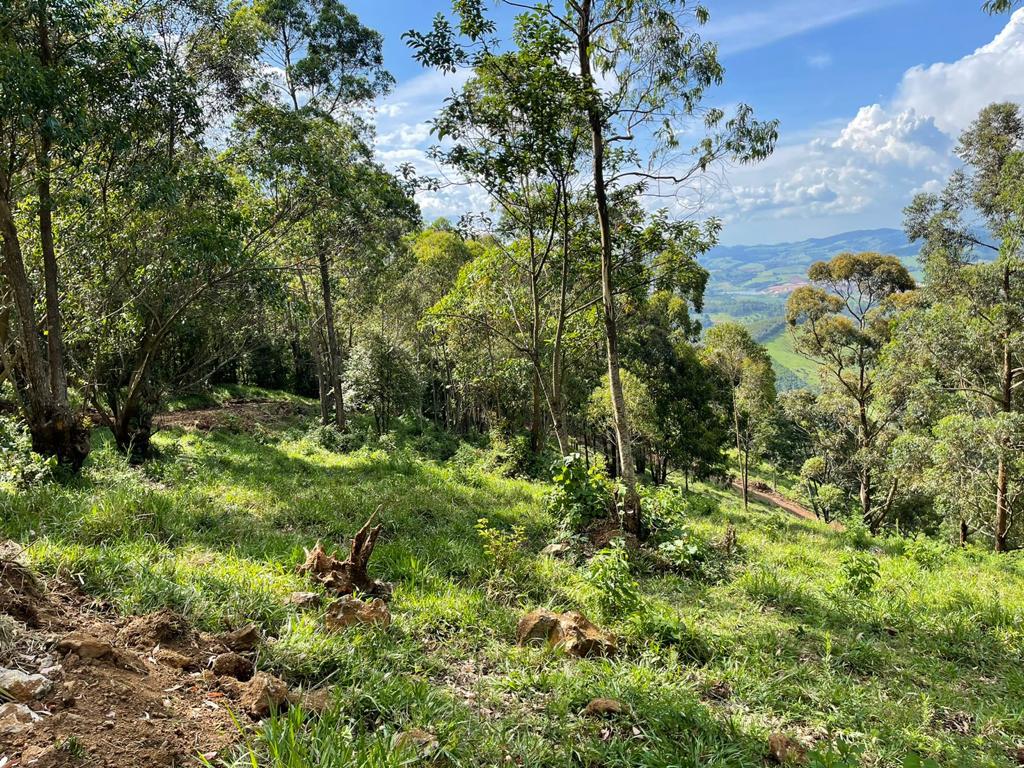 Terreno com linda vista escriturado de 41.831 Metros em Pedra Bela  | código 1040