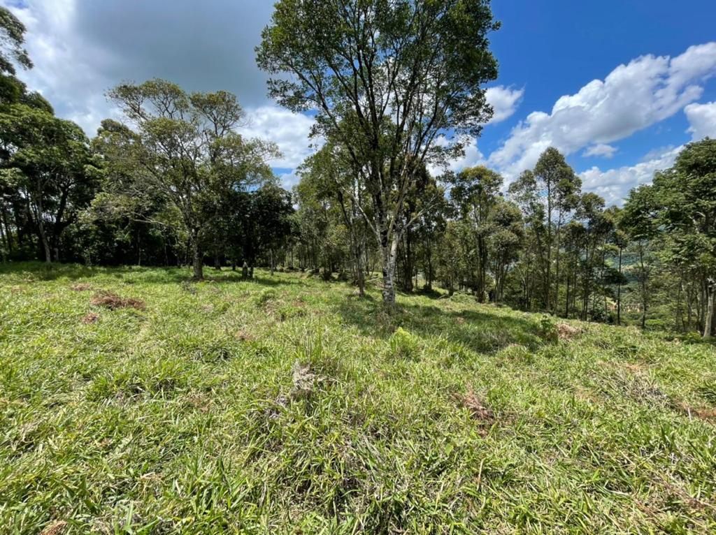 Terreno com linda vista escriturado de 41.831 Metros em Pedra Bela  | código 1040