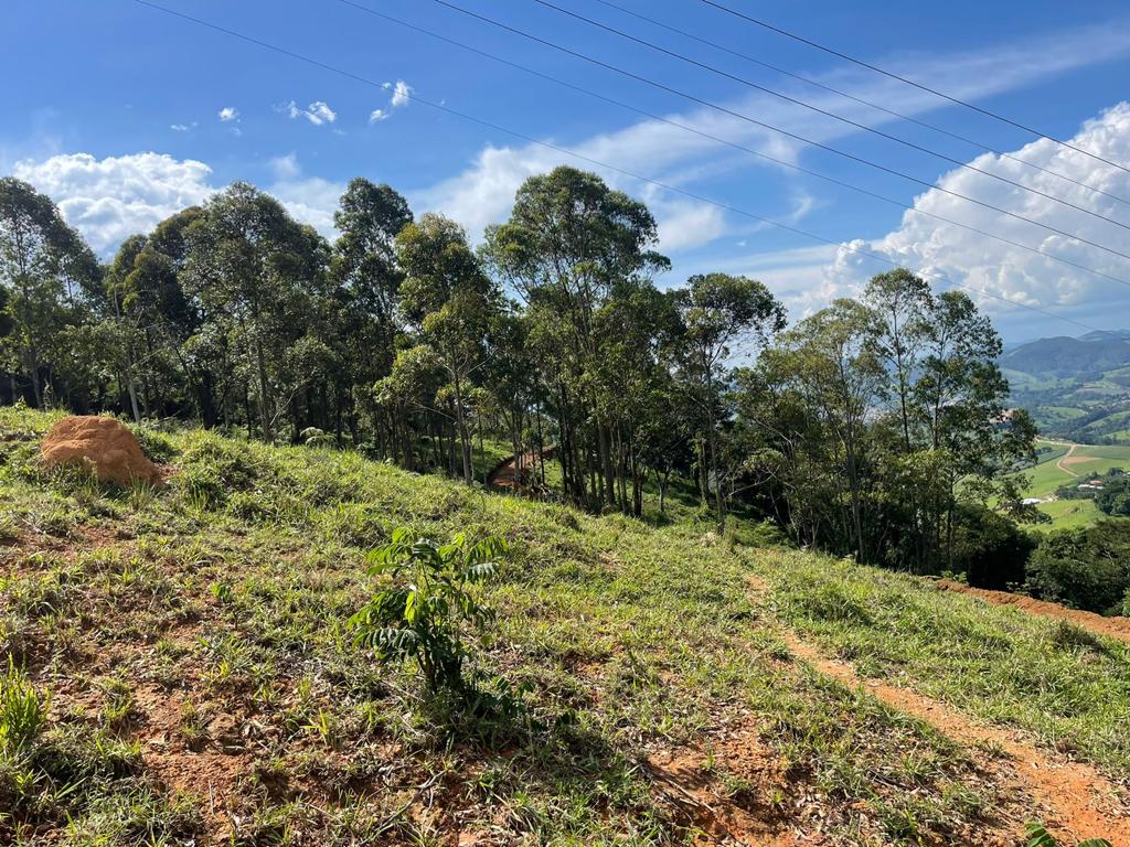 Terreno com linda vista escriturado de 41.831 Metros em Pedra Bela  | código 1040