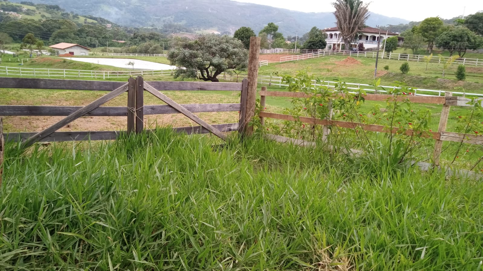 Terreno para formar chácara em Itapeva MG  | código 1051