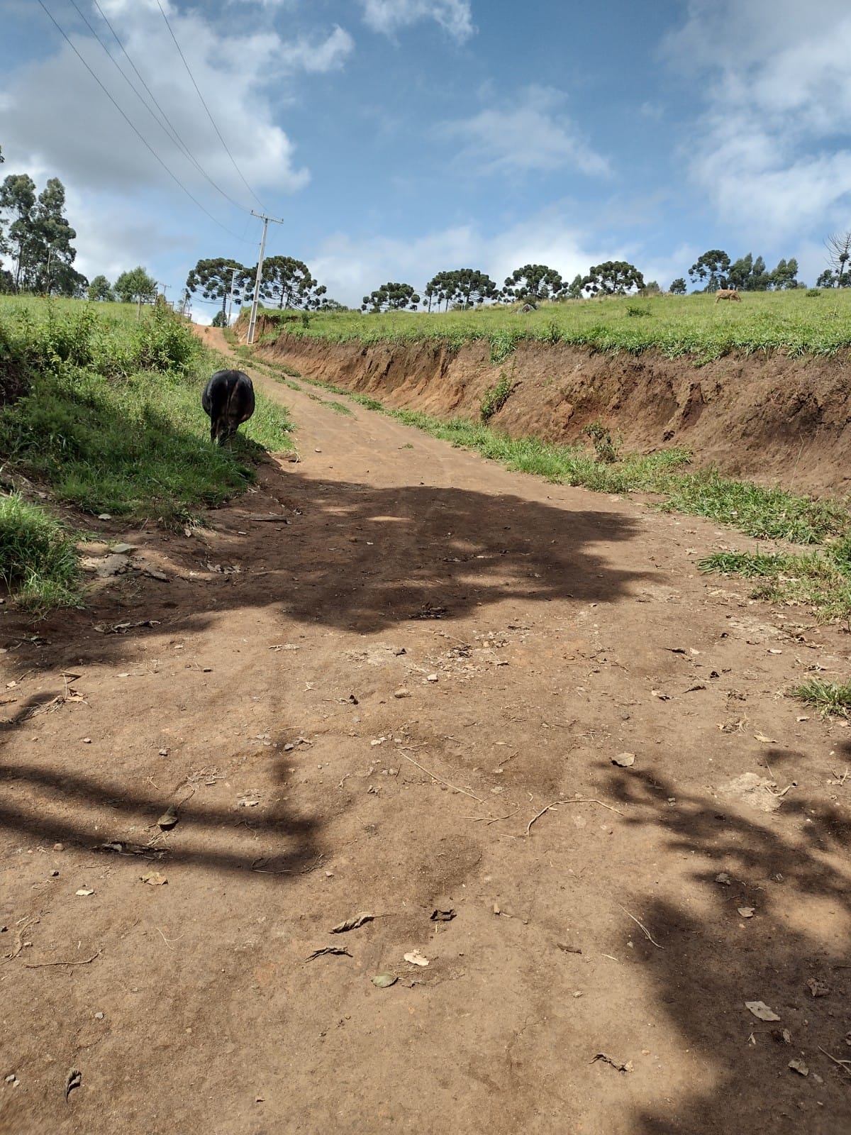 Terreno para formação de chácara, excelente local. | Extrema - MG  | código 1053