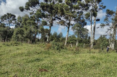 Terreno para formação de chácara, excelente local. | Extrema - MG  | código 1053