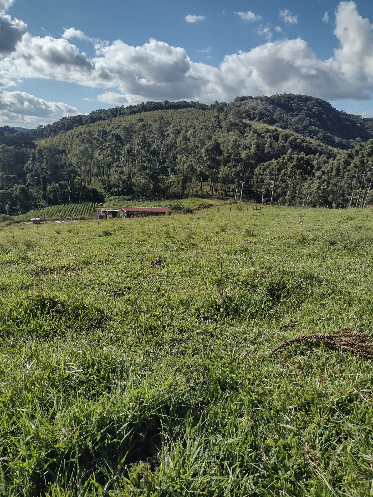 Terreno para formação de chácara, excelente local. | Extrema - MG  | código 1053