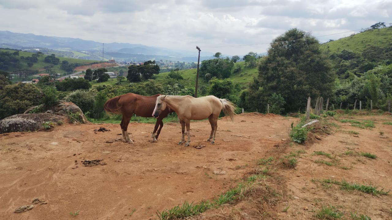 terreno com vista panorâmica muitas possibilidades de utilização em Extrema MG | código 1072