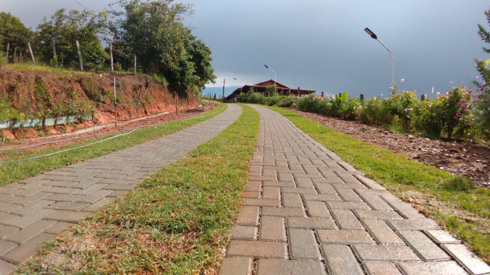 Sitio com água em abundancia; 2 casas bem construídas em Itapeva - MG | Código 1079