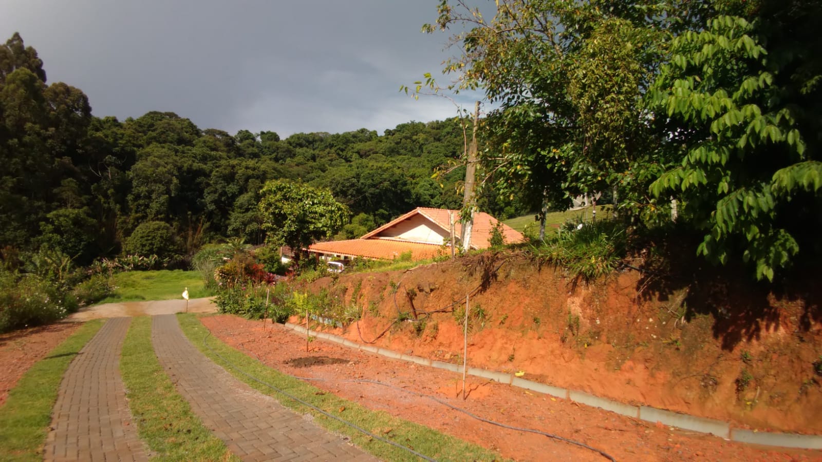 Sitio com água em abundancia; 2 casas bem construídas em Itapeva - MG | Código 1079